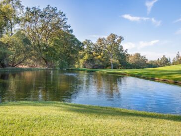 Photo little black dress